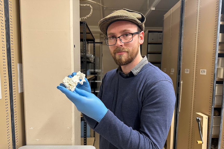 Man in glasses and blue sugical gloves holds small a bone, shelving is in the background, 