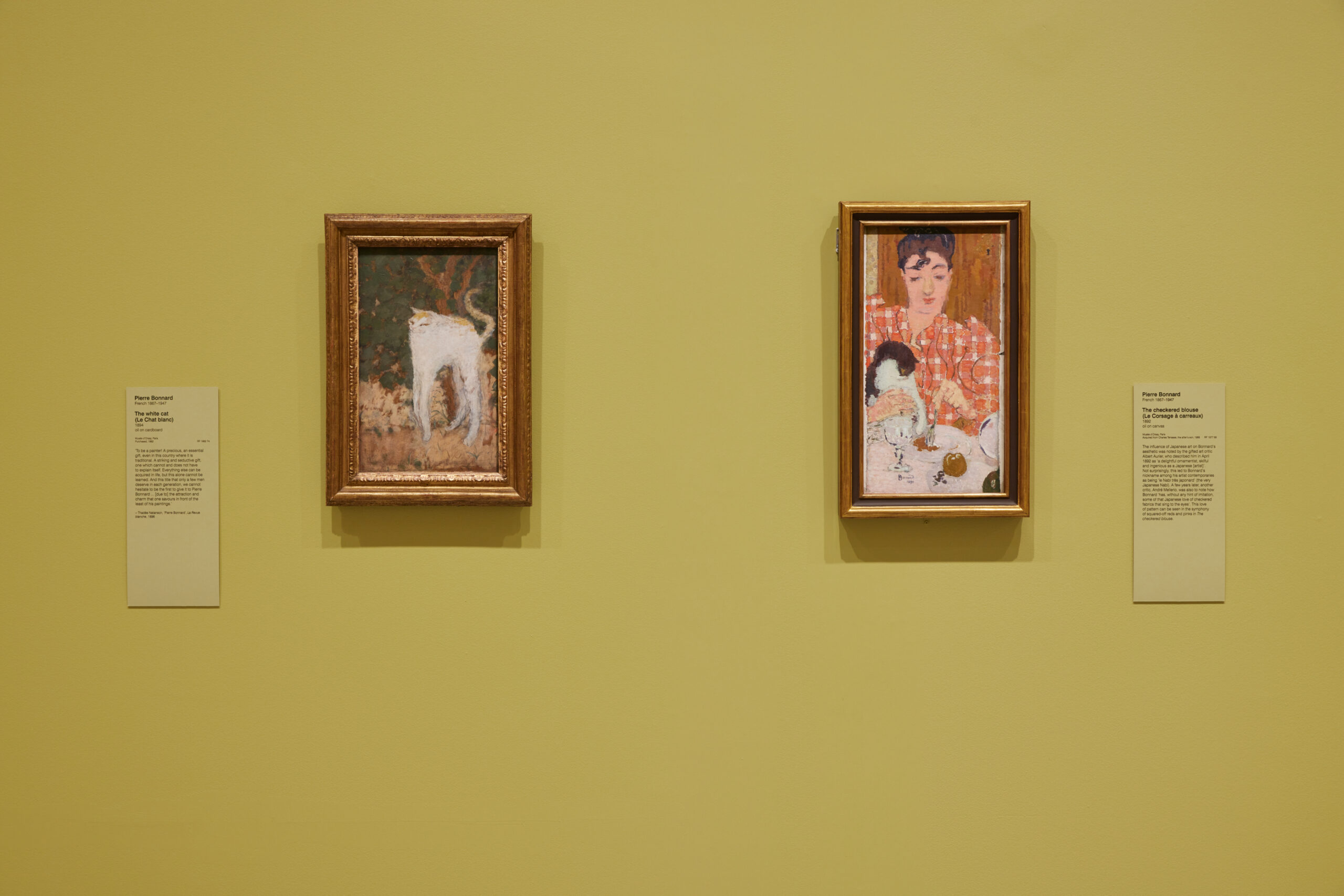 Installation view "Pierre Bonnard: Designed by India Mahdavi" 2023. Courtesy of the National Gallery of Victoria in Melbourne. Photo by Lillie Thompson.