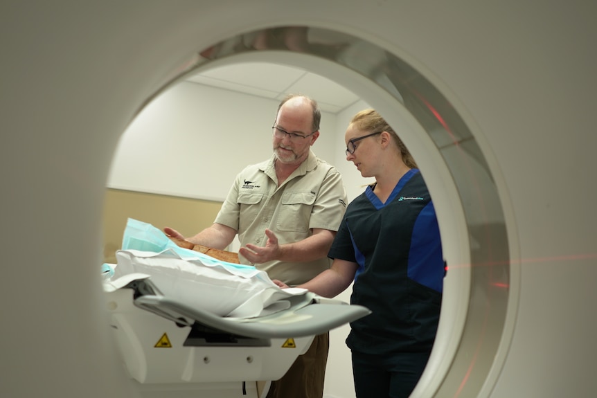 Looking through the CT scanner, a man and a woman load in the dinosaur fossil